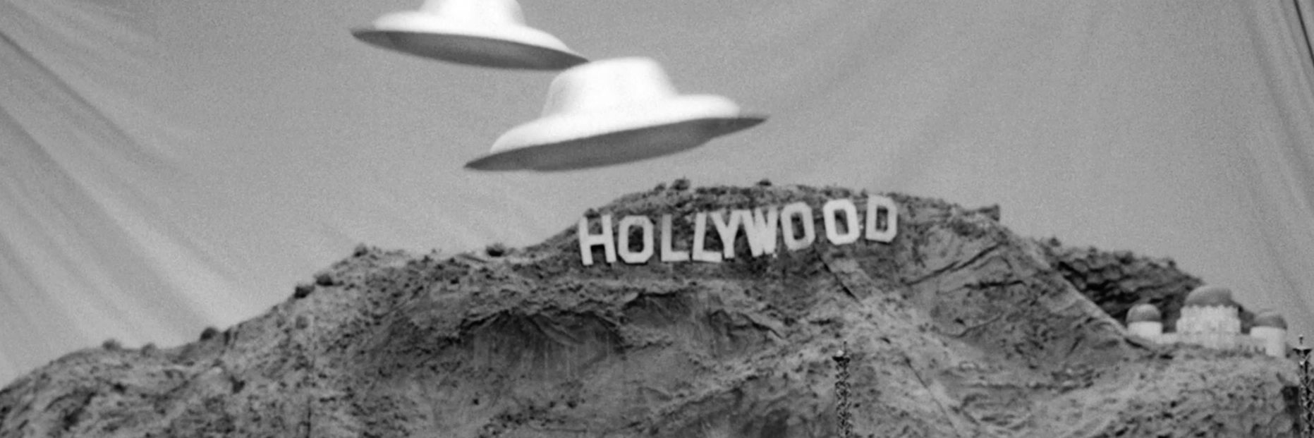 Dane McMaster banner