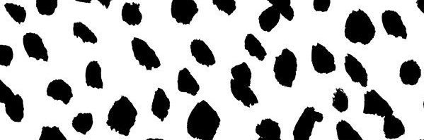 gracestubb's profile banner image