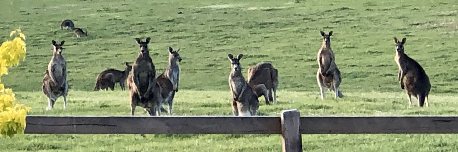 Peter Robert Reed banner