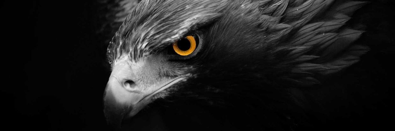 boone986's profile banner image