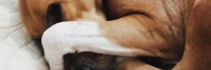 andregemes's profile banner image