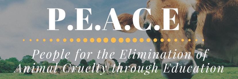 PEACEatUCDavis's profile banner image