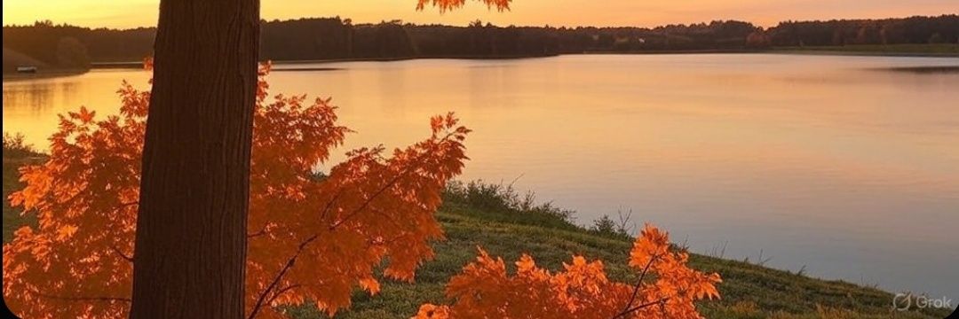 UK. banner
