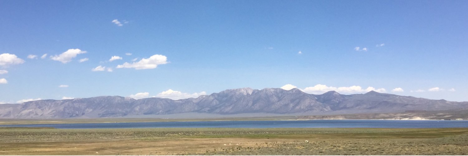 Dylan Elizabeth banner