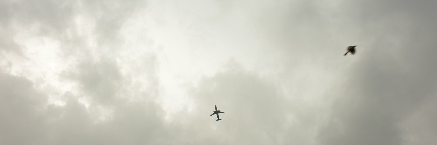 c i t banner
