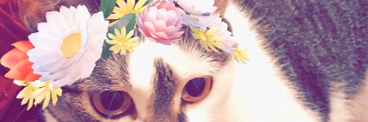 _rekk's profile banner image