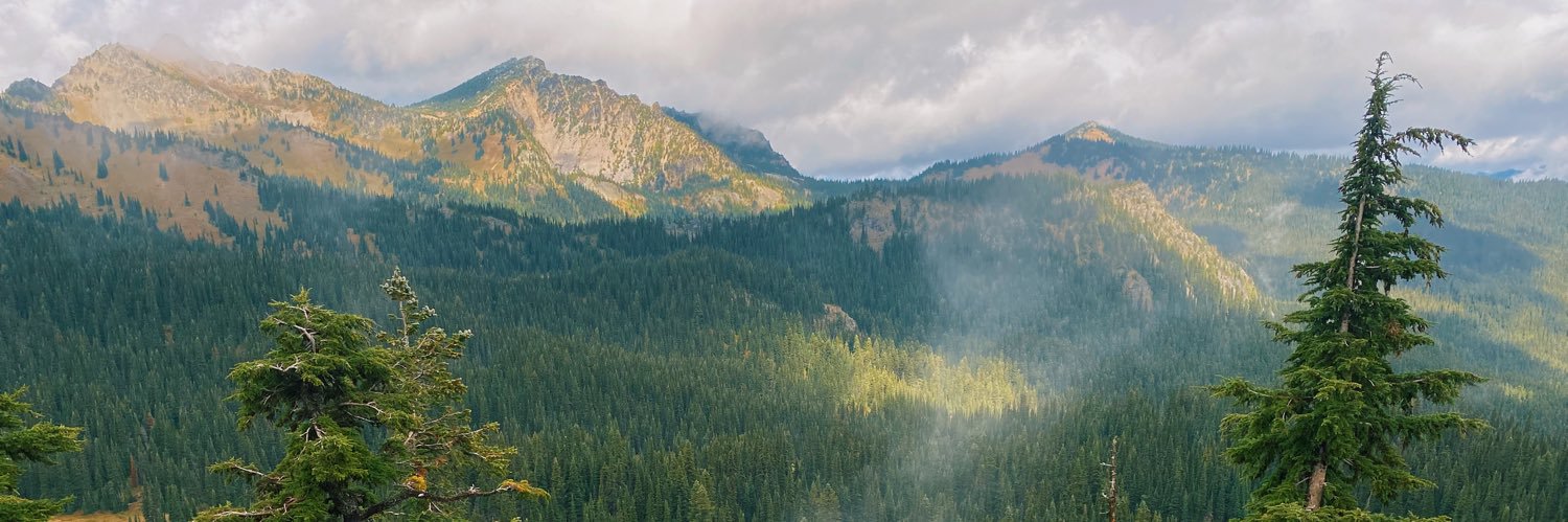 sydburk's profile banner image