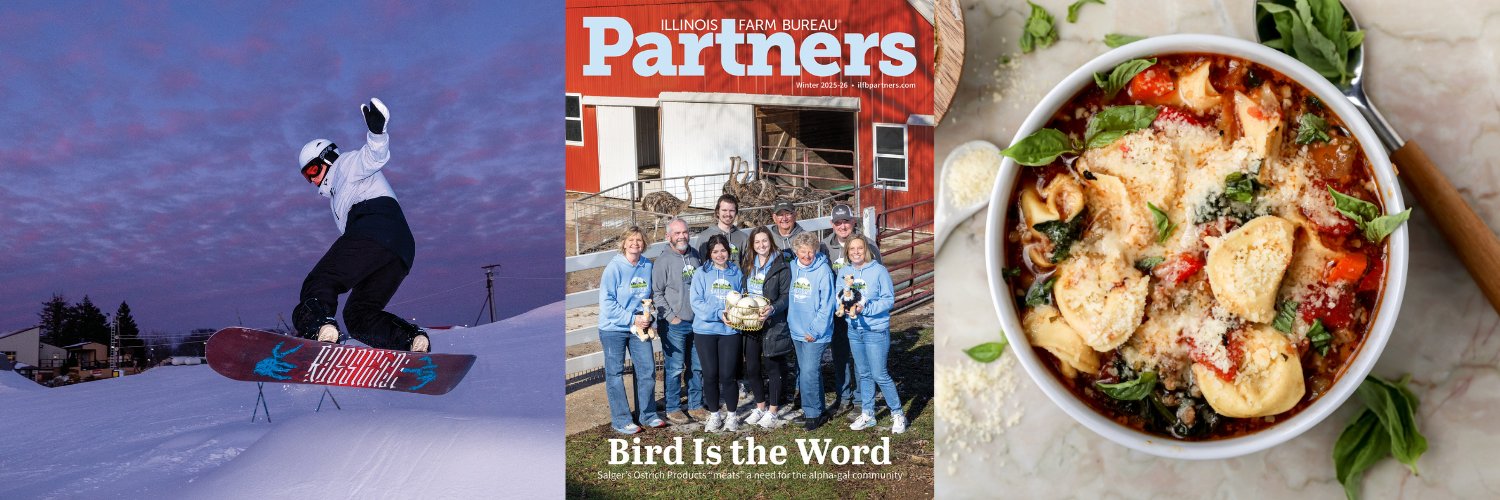 Illinois Partners banner