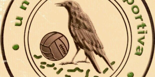 pavah98's profile banner image