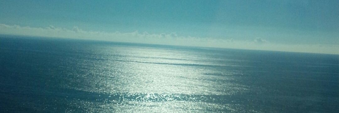 ベントナー@もぐもぐあさひWINGTH🦚🔥 banner