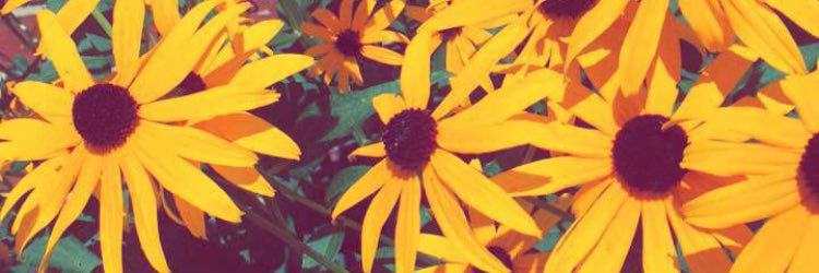 c_evanoff8's profile banner image