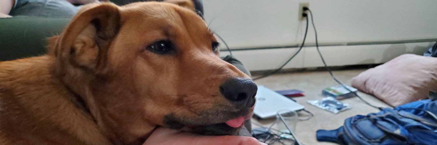 vanner64's profile banner image
