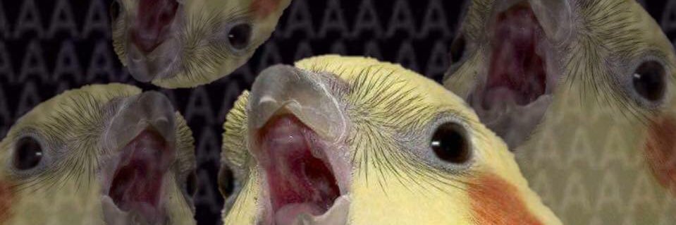 JacobP_26's profile banner image