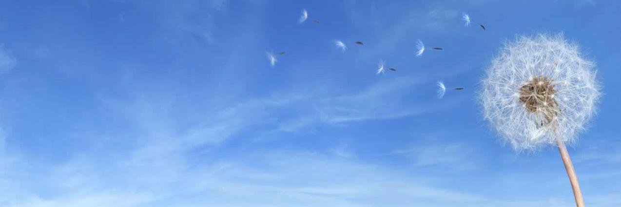 Marc Smeehuijzen banner