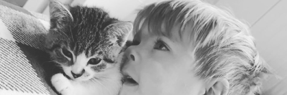 steeeshyy's profile banner image
