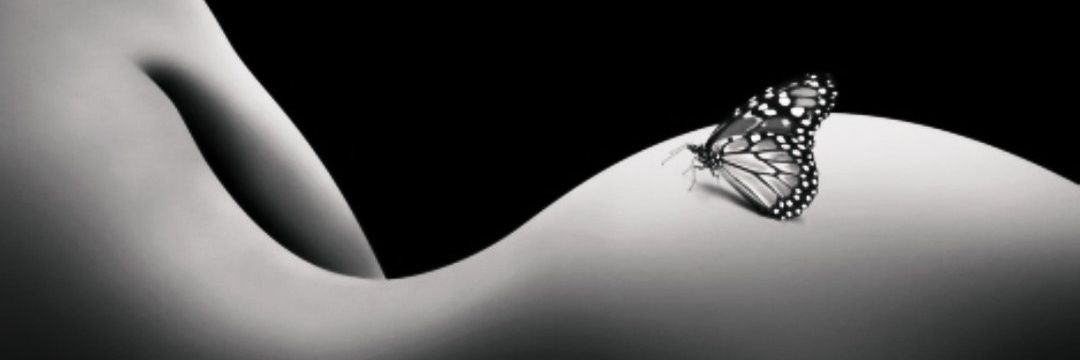 🦋ℒ𝒾𝓁𝓎🪔 banner