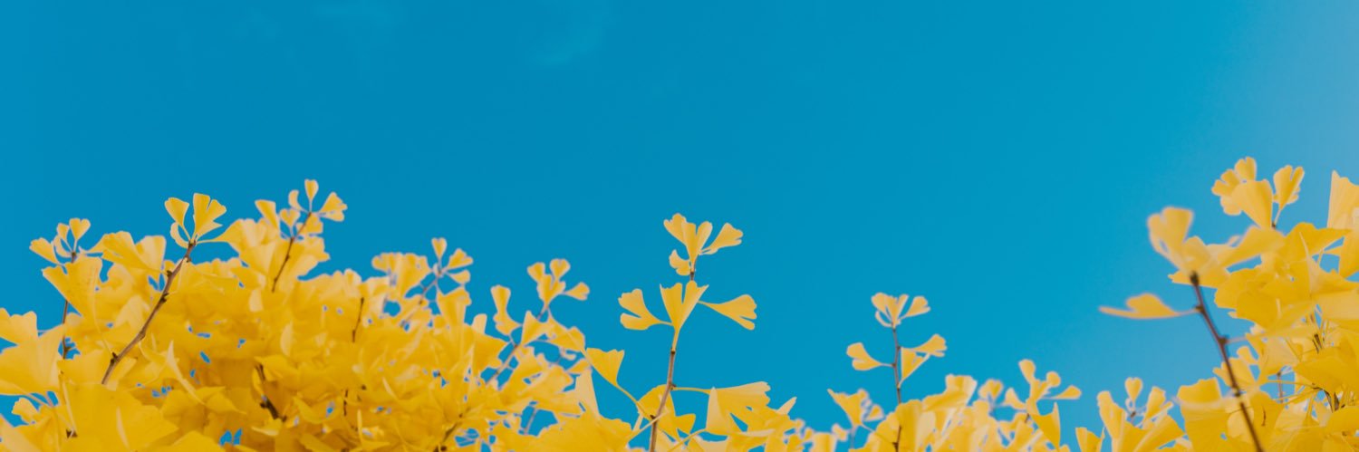 anarh_unit's profile banner image