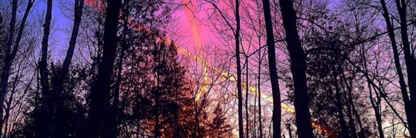 RachelCrustin Profile Banner