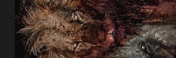 Tay_Jenkins01 Profile Banner