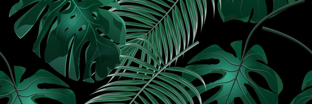 LizbeetReynaaa's profile banner image