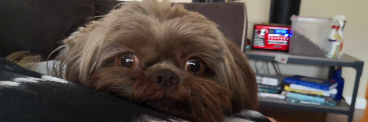 susanjiang_'s profile banner image