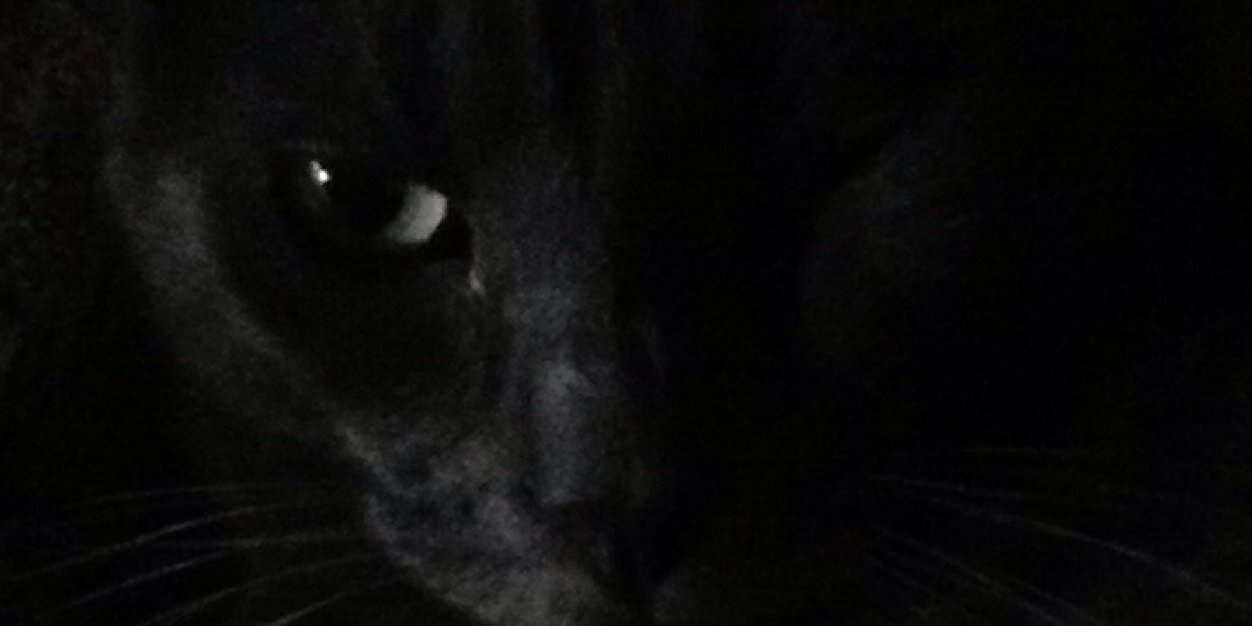 LUnatic1965's profile banner image