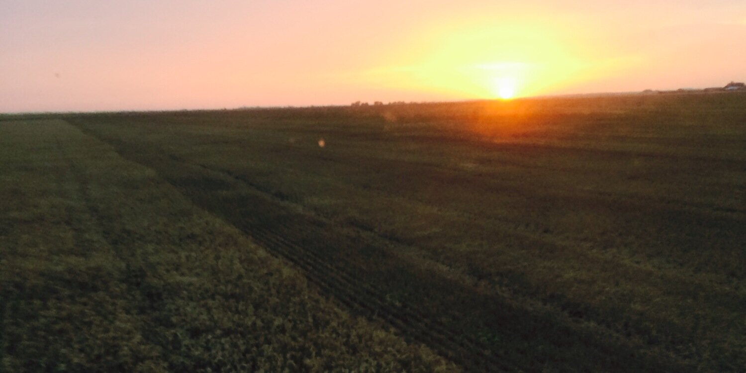 TylerBurton14's profile banner image