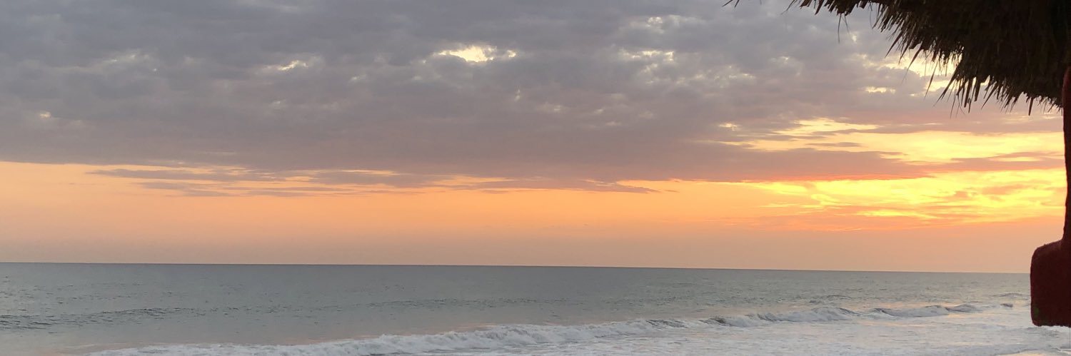 Alondra_G98's profile banner image