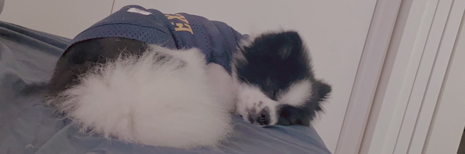Manaka_03220's profile banner image