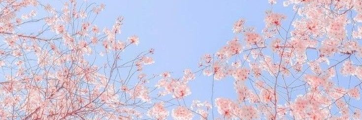 wj𐙚 banner