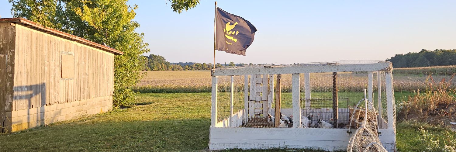 Good Citizen's banner