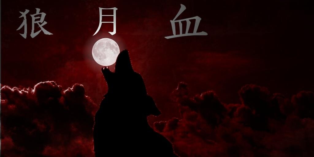 TrueNaruachi's profile banner image