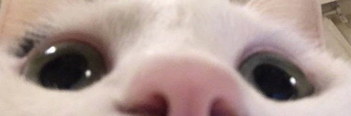 josevilglez's profile banner image