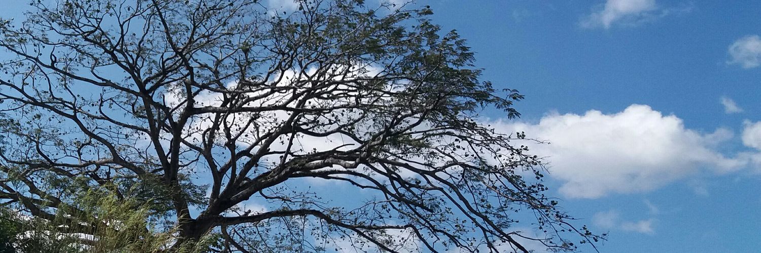 FedericoACR's profile banner image