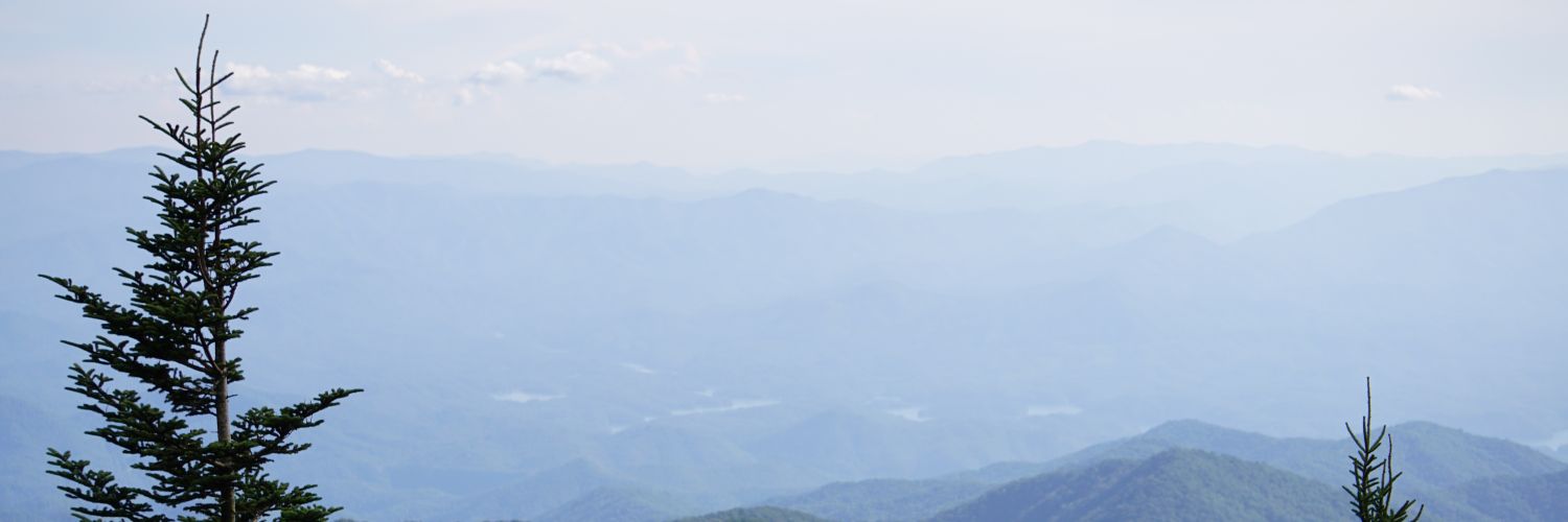 raoraheel's profile banner image