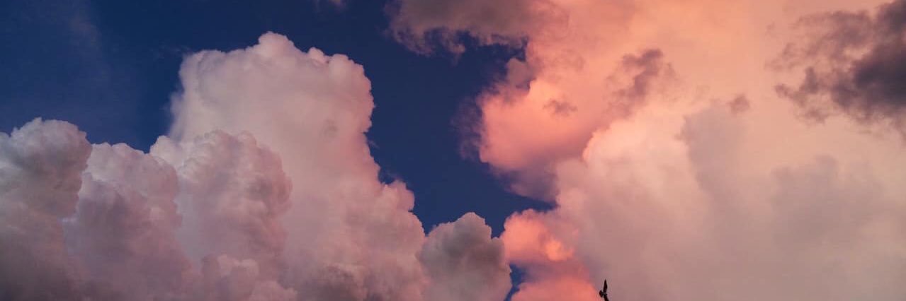 claudia_vrca's profile banner image
