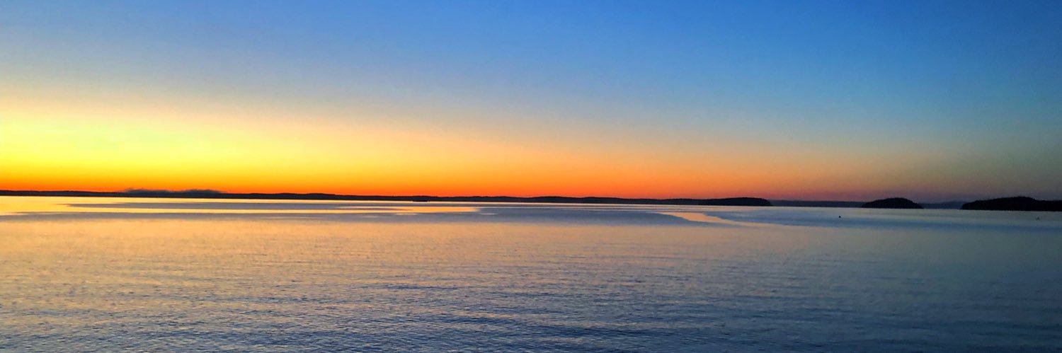 jason_fisch's profile banner image