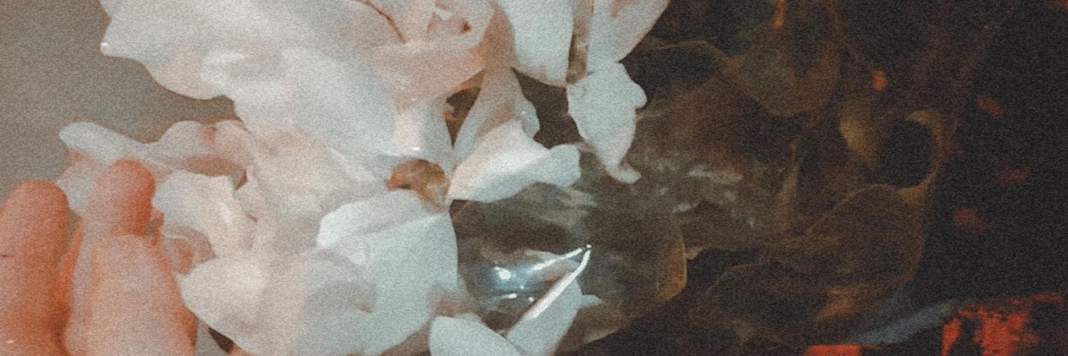 nurrgz's profile banner image