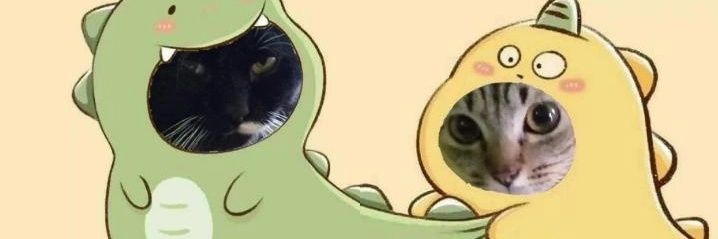 icchanv's profile banner image