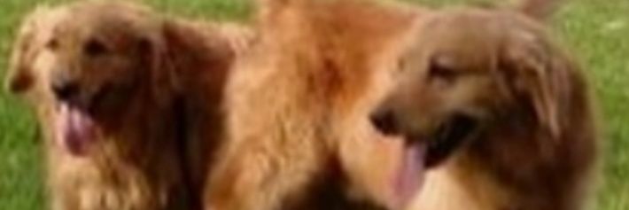 Kary12C's profile banner image