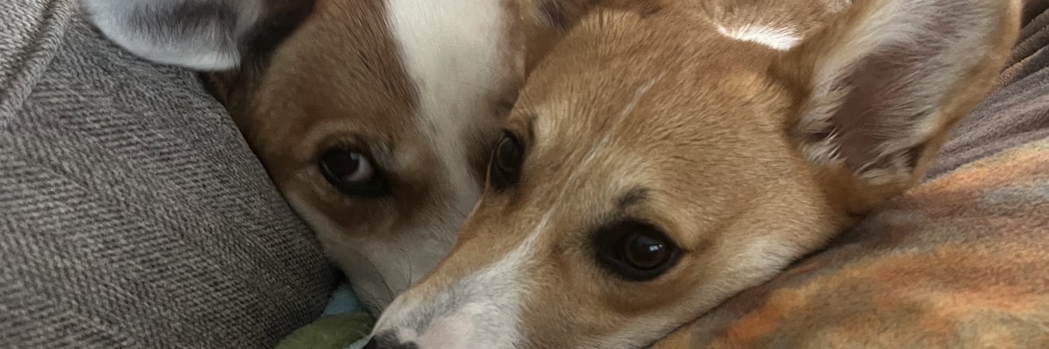 itslogg's profile banner image