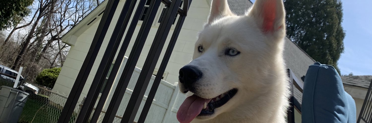 Ryan Chesnick banner