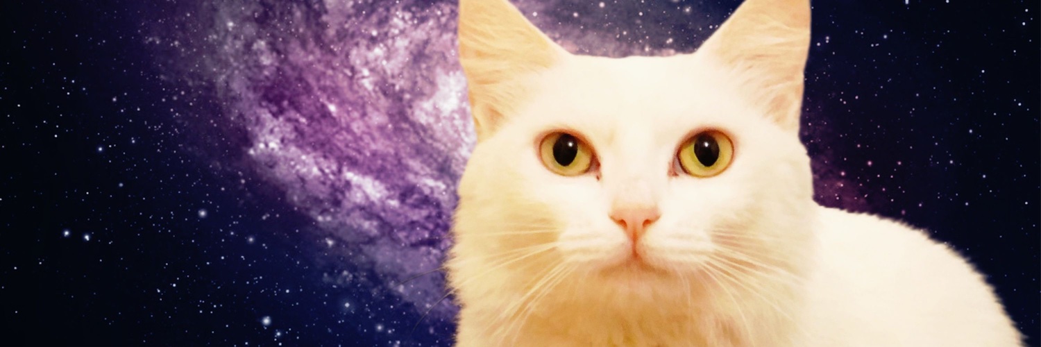 m_ello's profile banner image