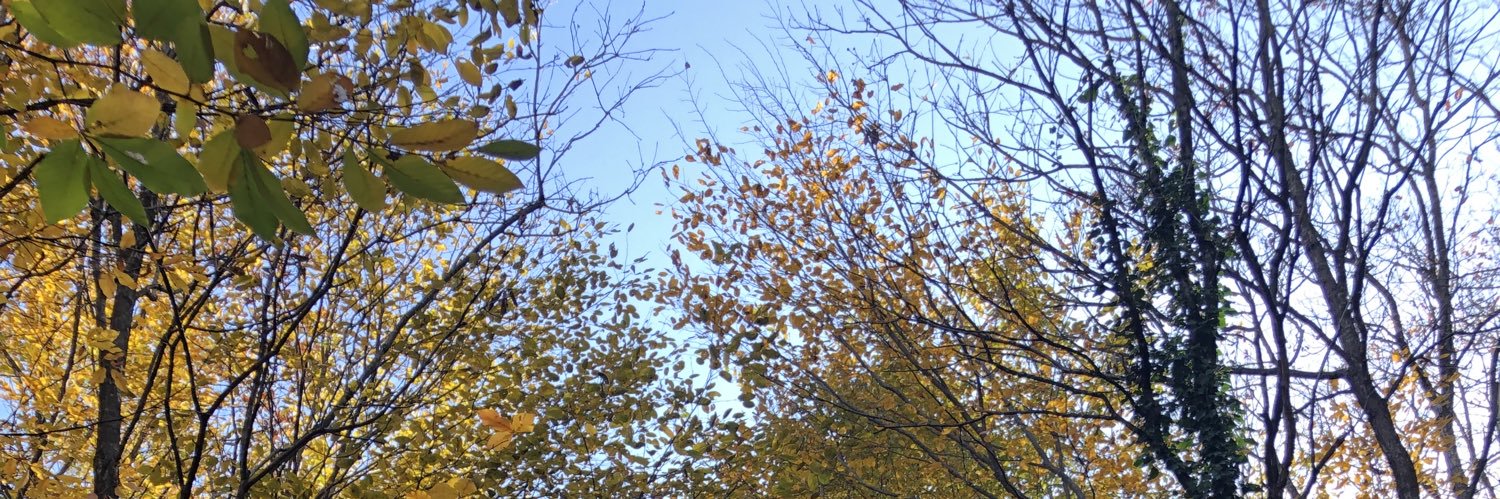 Ed! banner