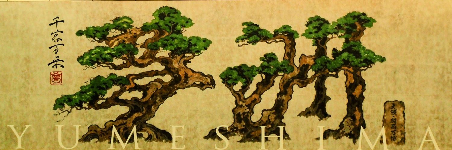 ミャクRun(改名) シーズン終了！→リカバリー西表島 banner