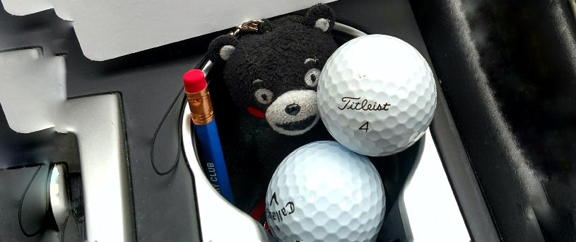 scott pianowski banner