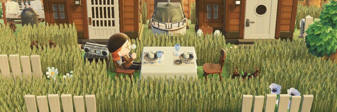 Amy's banner