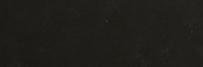 naoki_izu's profile banner image
