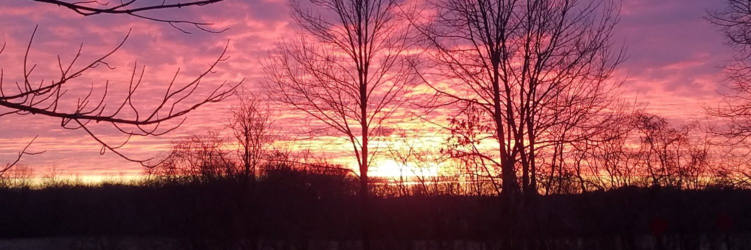 Logan  Johnson banner