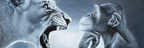 thijsb121's profile banner image